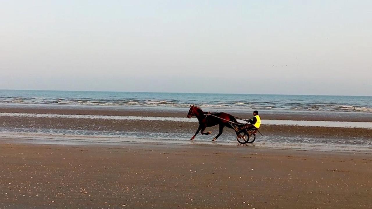Chez Gigi Bed & Breakfast Merville-Franceville-Plage Dış mekan fotoğraf